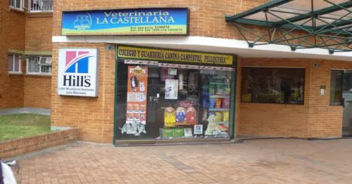 VETERINARIA LA CASTELLANA NUEVO MONTERREY VETERINARIA LA CASTELLANA NUEVO MONTERREY